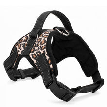 Load image into Gallery viewer, Nylon Heavy Duty Dog Pet Harness